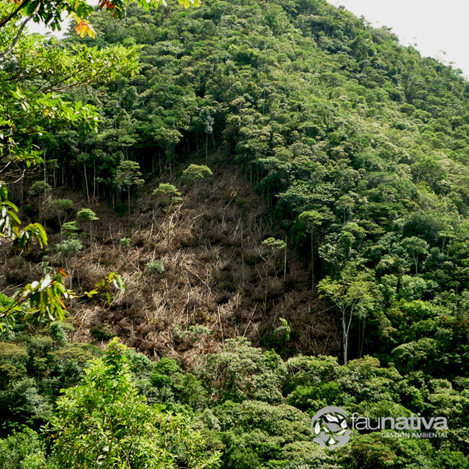 La estrategia BanCO2,  no será suficiente
